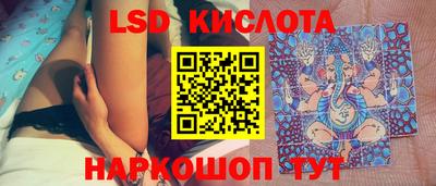 прущие грибы Краснодар