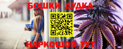 гидропоника Краснокаменск