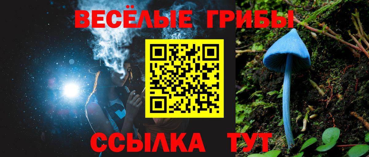 Галлюциногенные грибы GOLDEN TEACHER Каспийск