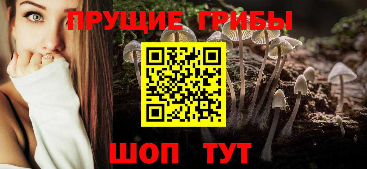 Каспийск  Галлюциногенные грибы MAGIC MUSHROOMS  Псилоцибиновые грибы Psilocybine cubensis  Вход с VPN 